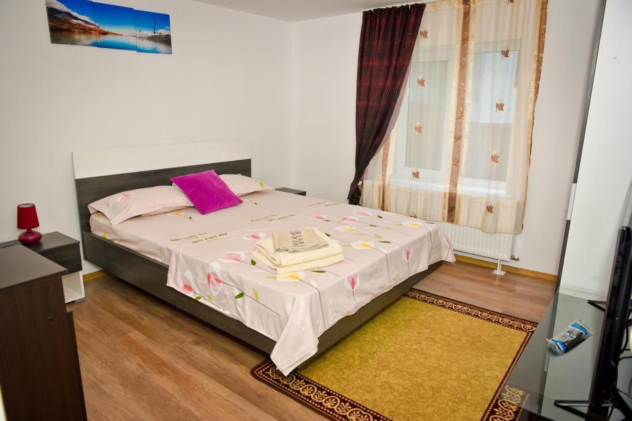 Casa Dodo 호텔 Călimăneşti 외부 사진